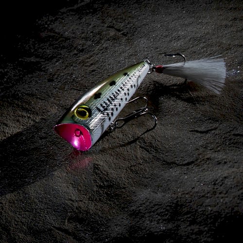 Tips & Tricks on How to Topwater Fish 