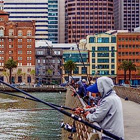 urban-fishing