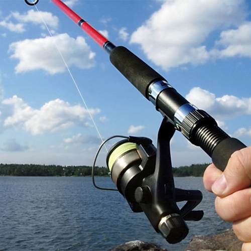 Georgia Free Fishing Days