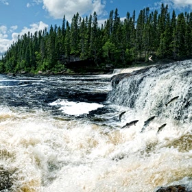 Utah Fishing Resources
