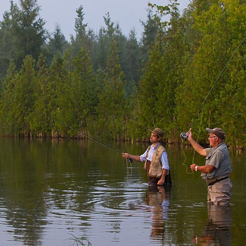 Fly Fishing FAQ & Essential Info