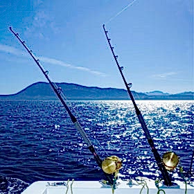 Helpful Saltwater Fishing Tips & Tricks 