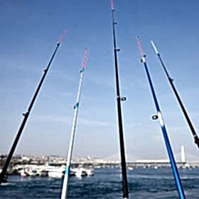 Buy the best fishing rod today