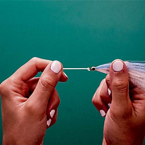 Davy Knot: Fly Fishing Knot