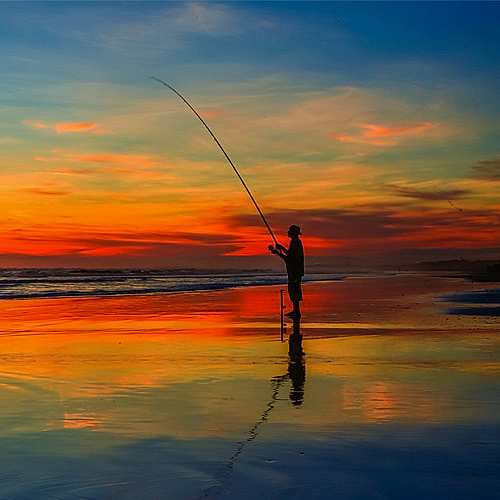 Tips on How to Shore Fish for Beginners 
