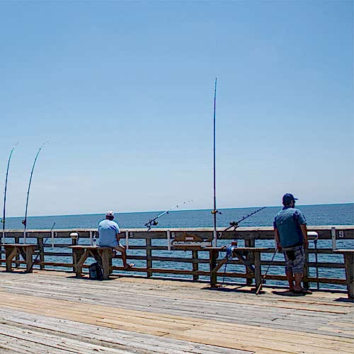 Pier & Surf Fishing