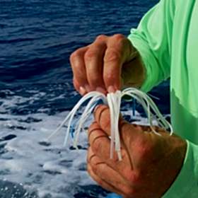 Virginia Boating Regulations