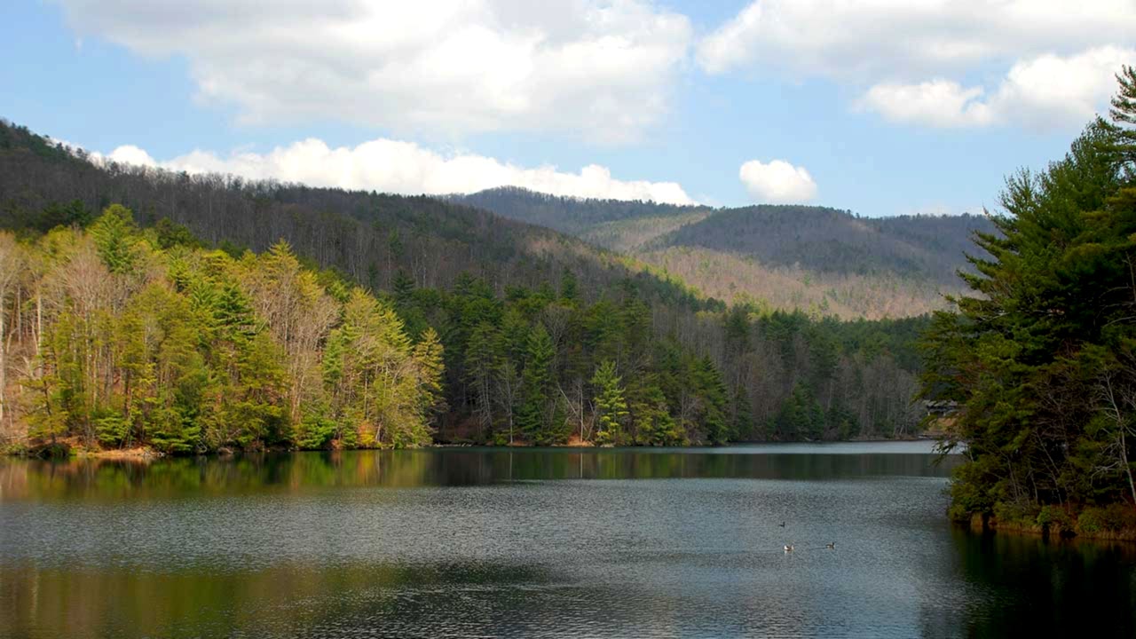 Georgia