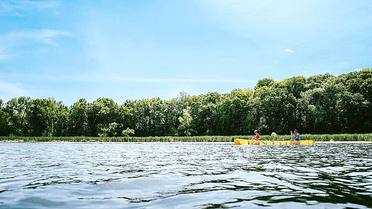 Fishing and Conservation