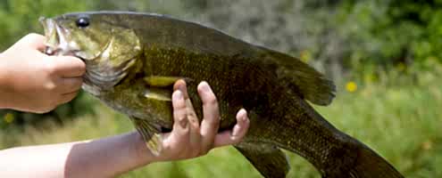 Mississippi Fishing