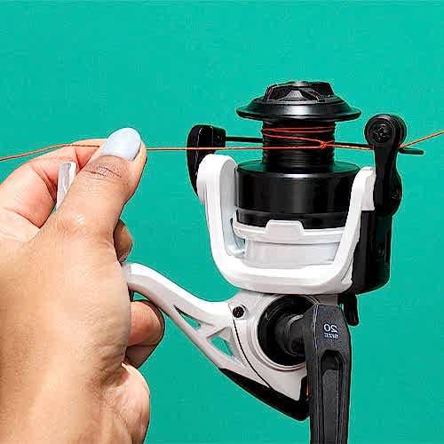 Top Saltwater Fishing Knots Information