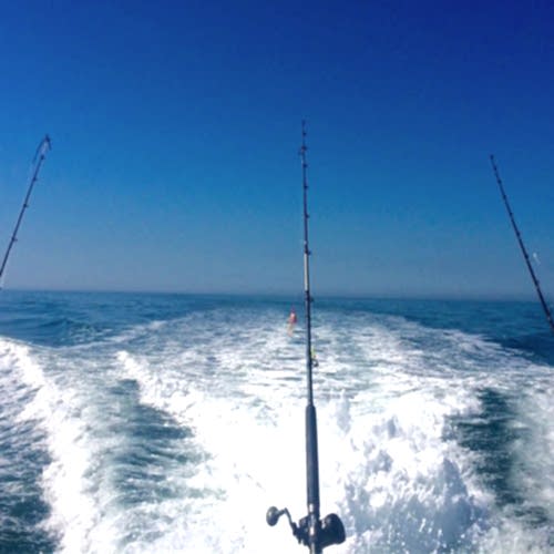 how to troll for fish