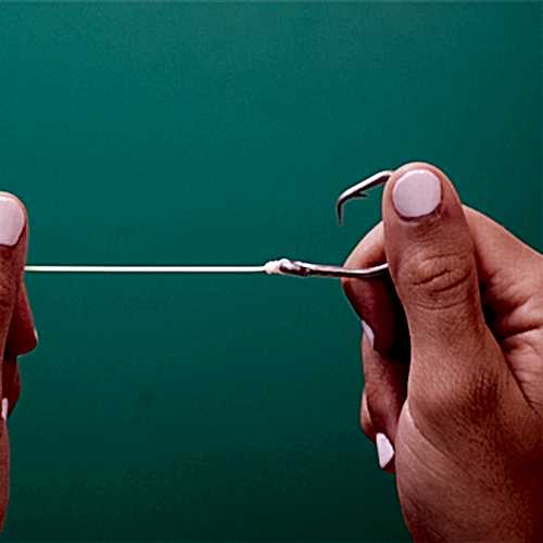 Best Fishing Knots