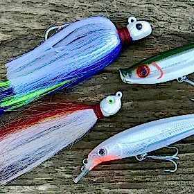 Local Virginia Fishing Reports