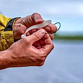 SC Free Fishing Days