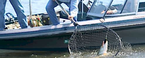 Illinois Fishing