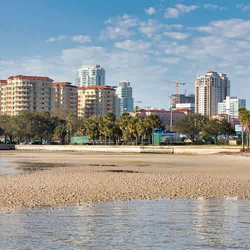 Saltwater Fishing the Flats & Backwater 
