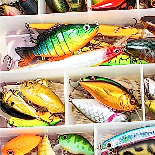 Which Saltwater Fishing Plugs You Should Use