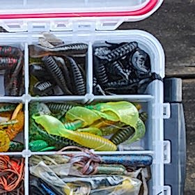 RI Free Fishing Days