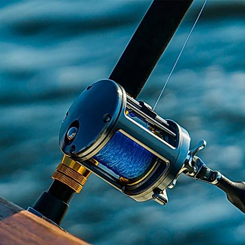 Saltwater Rods & Reels