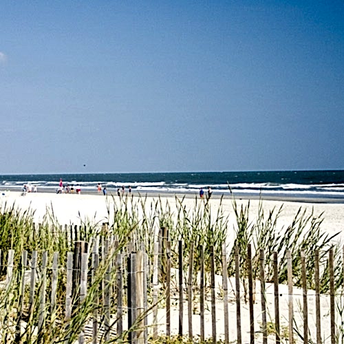 Saltwater Fishing in the US South East Coast