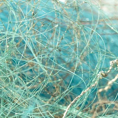 fishing line on the beach 