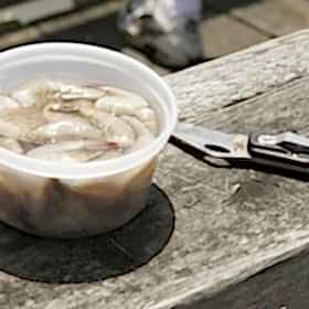 Top Shrimp Lures for Saltwater Fishing
