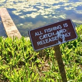 Virginia FISHING RESOURCES