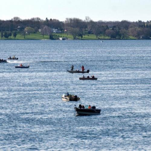 Participate in fishing tournaments