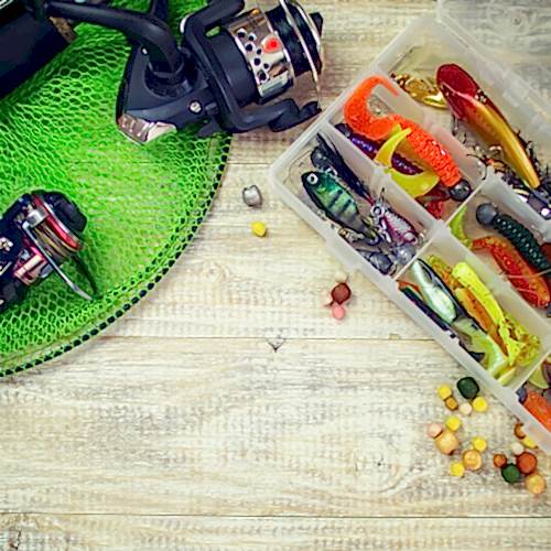 How to Choose Bait for Fishing 