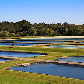Aquatic Resources Conservation Info