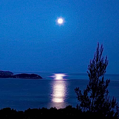 Fishing Moon Phase Theories & Tips 