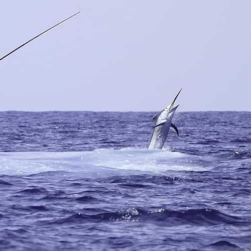 How to Deep Sea Fish