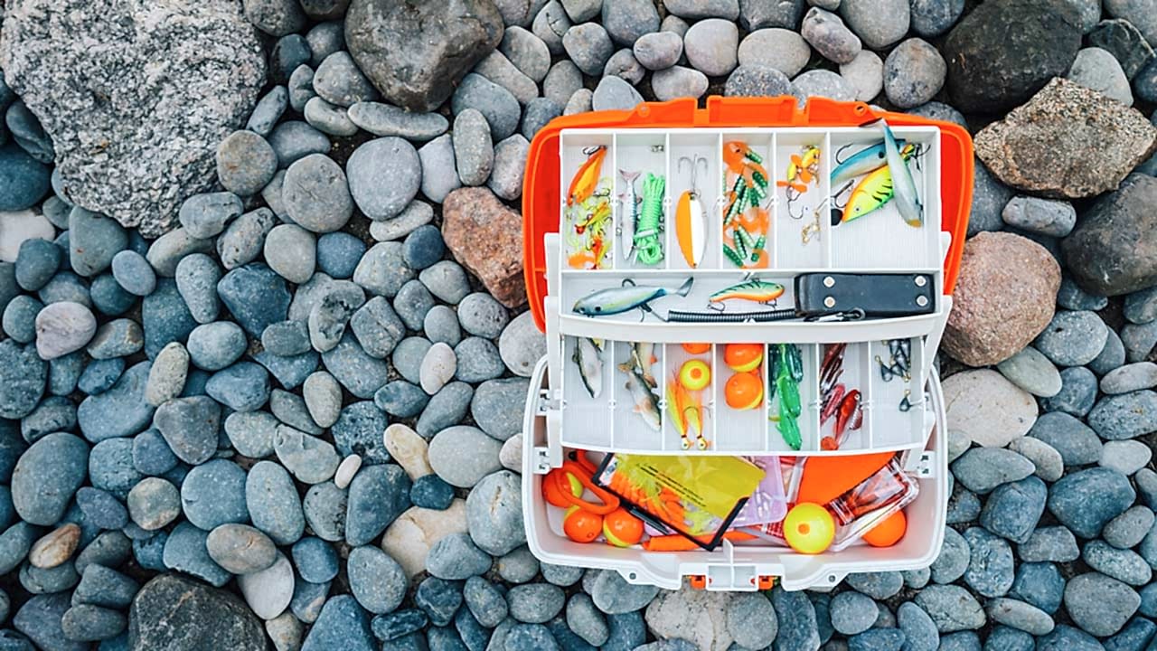 Freshwater Bait and Lures