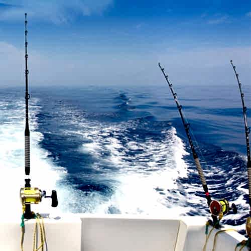 Live Lining & Live Trolling Fundamentals 