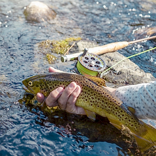 Best fishing hooks to use to catch and release