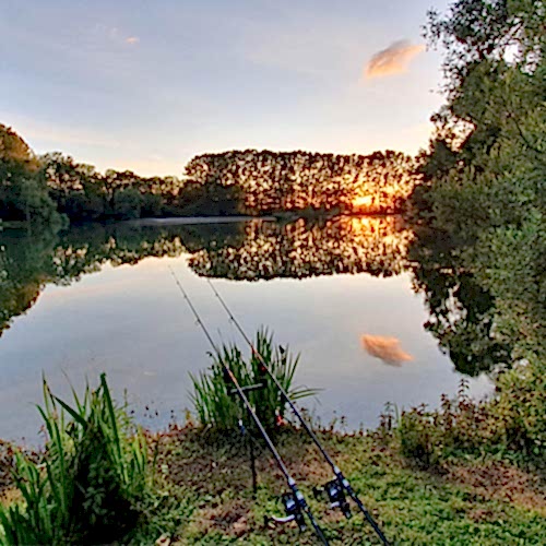 Useful Pond Fishing Tips & Info