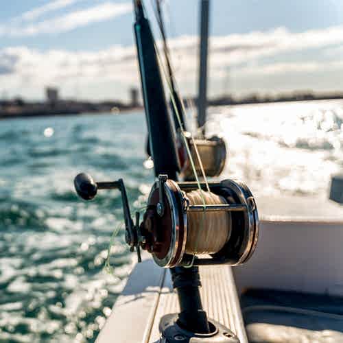 Local Fishing Report Information