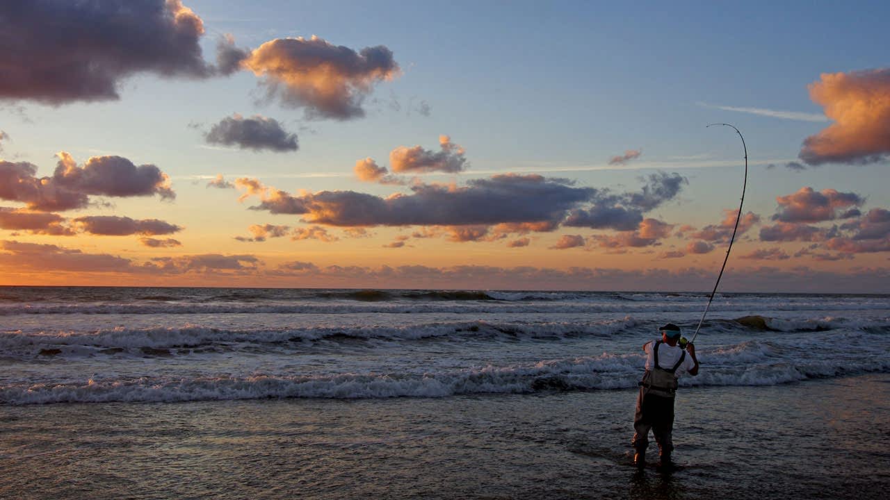 Types of Saltwater Fishing