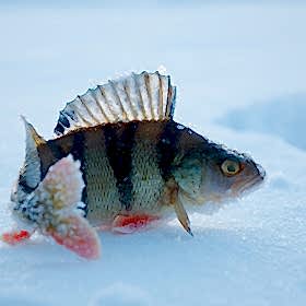 Top Fishing Spots In Oklahoma