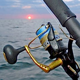 Local New Jersey Fishing Reports