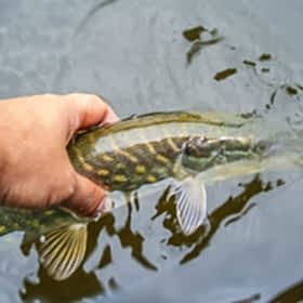 Top Fishing Spots In Washington