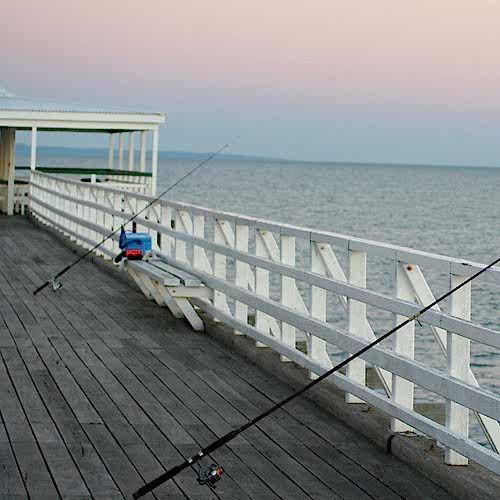 PIER & SURF FISHING