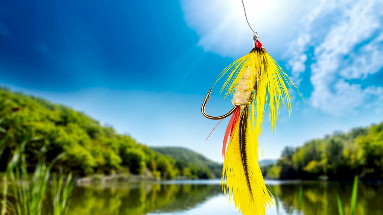 Fly Fishing Flies