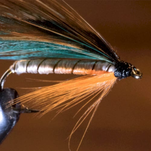 Best Fly Fishing Flies to Use