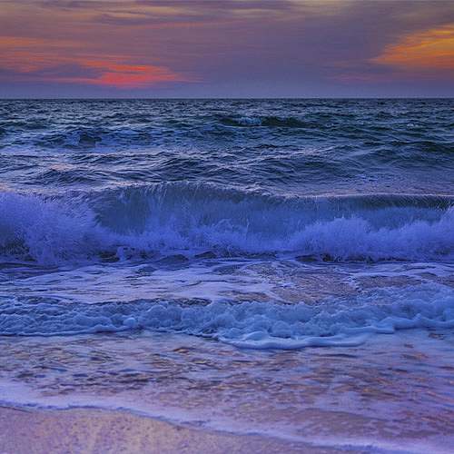 Professional Tips on Fishing High Tide