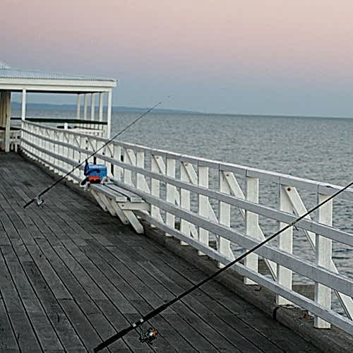 Learn to Go Pier Fishing Like a Pro